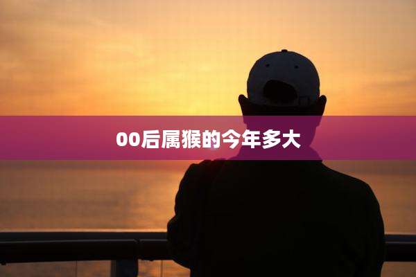 00后属猴的今年多大