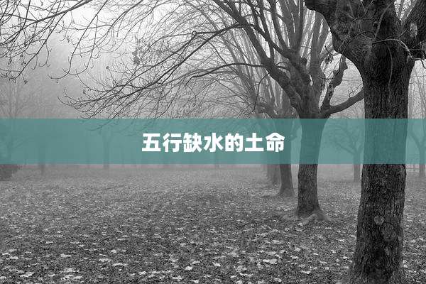 五行缺水的土命