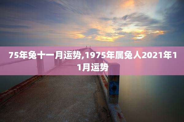 75年兔十一月运势,1975年属兔人2021年11月运势