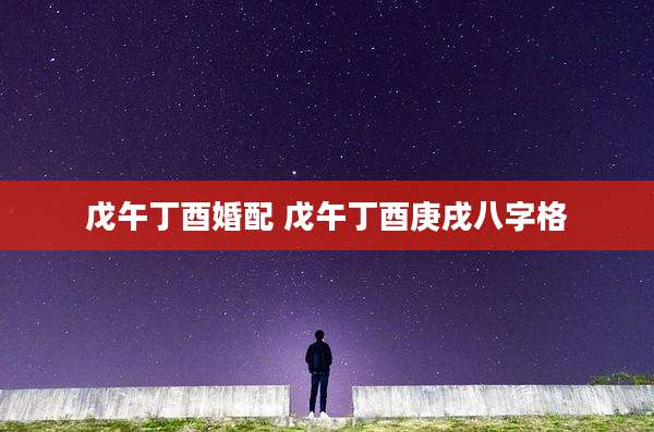 戊午丁酉婚配 戊午丁酉庚戌八字格