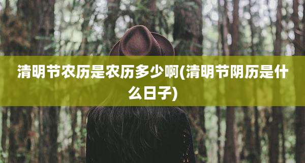 清明节农历是农历多少啊(清明节阴历是什么日子)