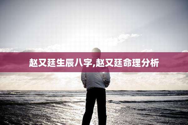 赵又廷生辰八字,赵又廷命理分析