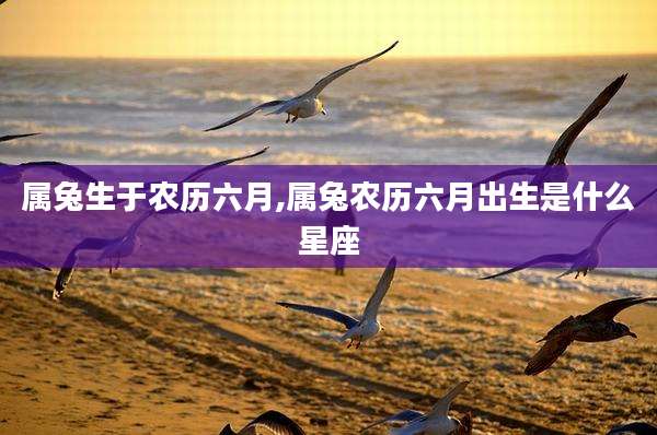 属兔生于农历六月,属兔农历六月出生是什么星座