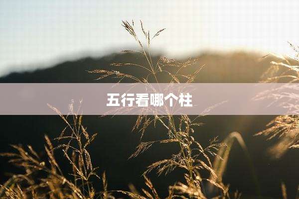 五行看哪个柱