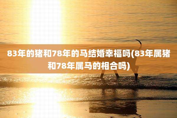 83年的猪和78年的马结婚幸福吗(83年属猪和78年属马的相合吗)