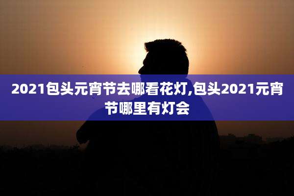 2021包头元宵节去哪看花灯,包头2021元宵节哪里有灯会