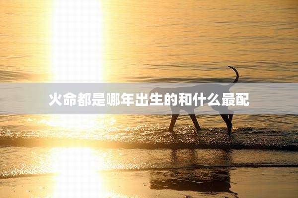 火命都是哪年出生的和什么最配