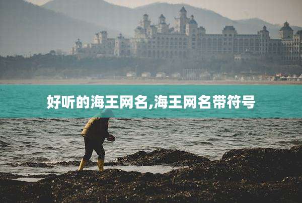 好听的海王网名,海王网名带符号