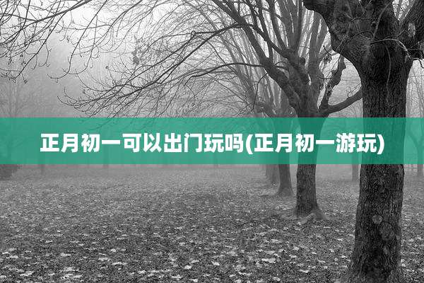正月初一可以出门玩吗(正月初一游玩)