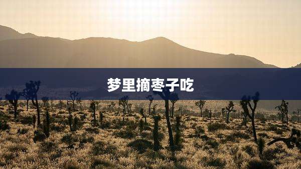 梦里摘枣子吃