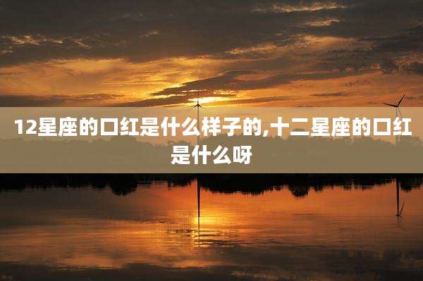 12星座的口红是什么样子的,十二星座的口红是什么呀
