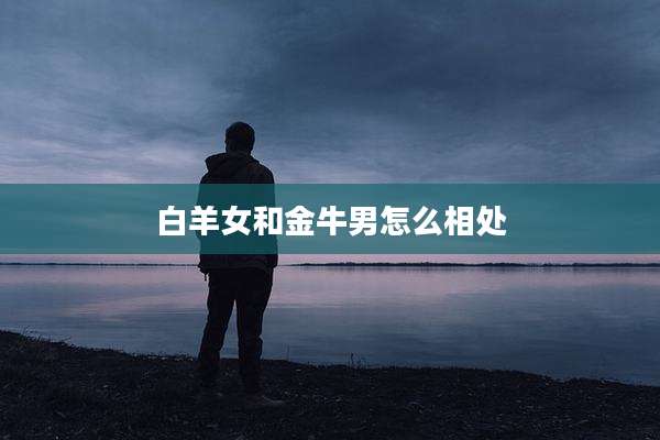 白羊女和金牛男怎么相处