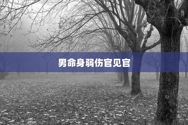 男命身弱伤官见官