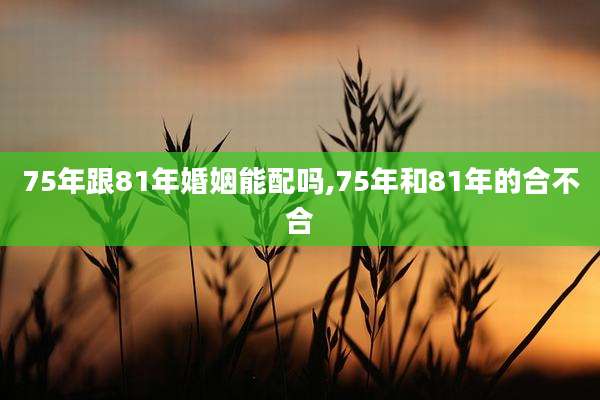 75年跟81年婚姻能配吗,75年和81年的合不合
