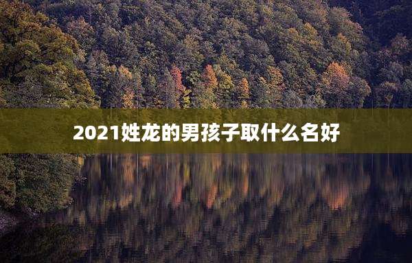 2021姓龙的男孩子取什么名好