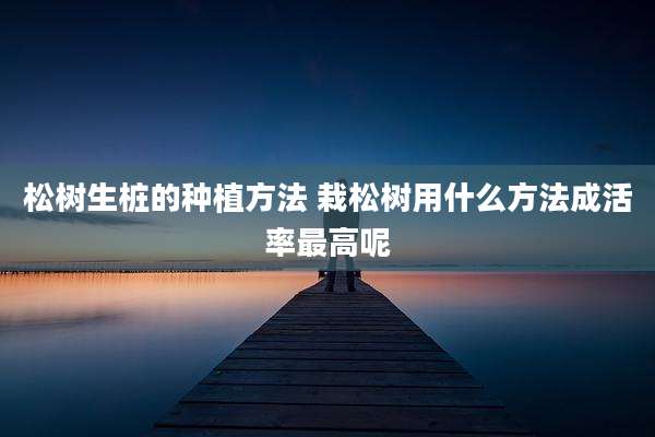 松树生桩的种植方法 栽松树用什么方法成活率最高呢