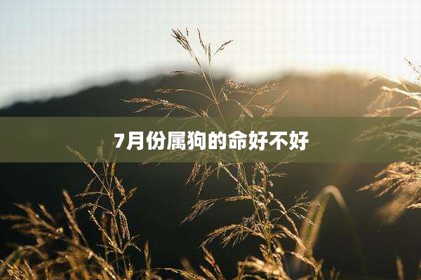 7月份属狗的命好不好