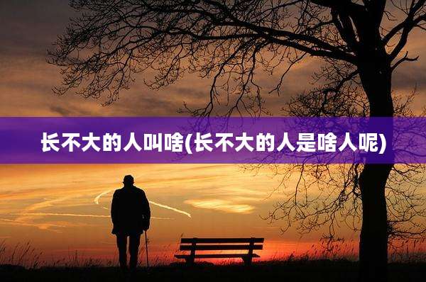 长不大的人叫啥(长不大的人是啥人呢)