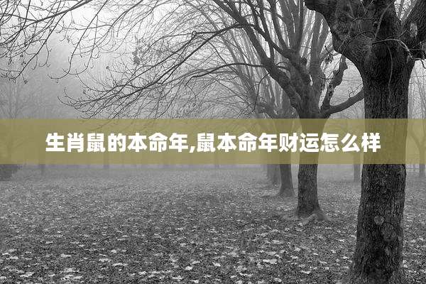 生肖鼠的本命年,鼠本命年财运怎么样