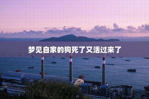 梦见自家的狗死了又活过来了