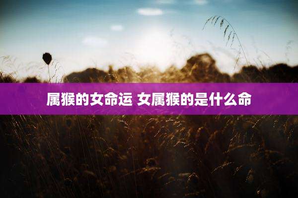 属猴的女命运 女属猴的是什么命
