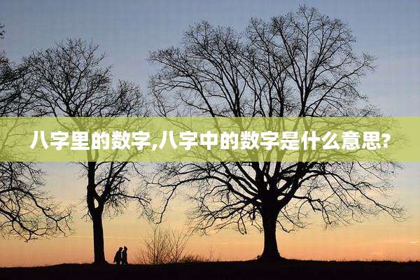 八字里的数字,八字中的数字是什么意思?