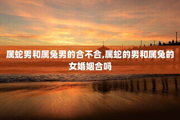 属蛇男和属兔男的合不合,属蛇的男和属兔的女婚姻合吗