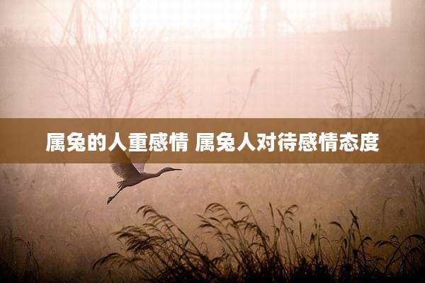 属兔的人重感情 属兔人对待感情态度