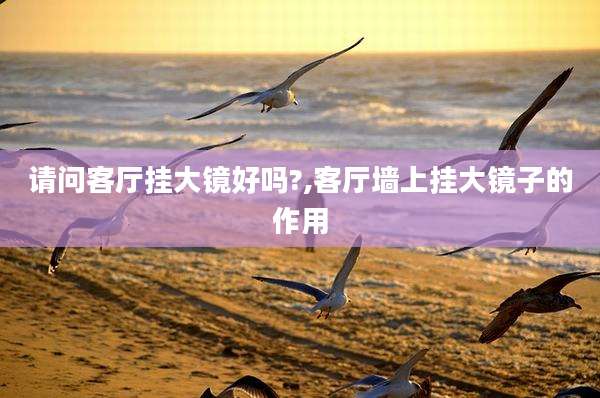 请问客厅挂大镜好吗?,客厅墙上挂大镜子的作用