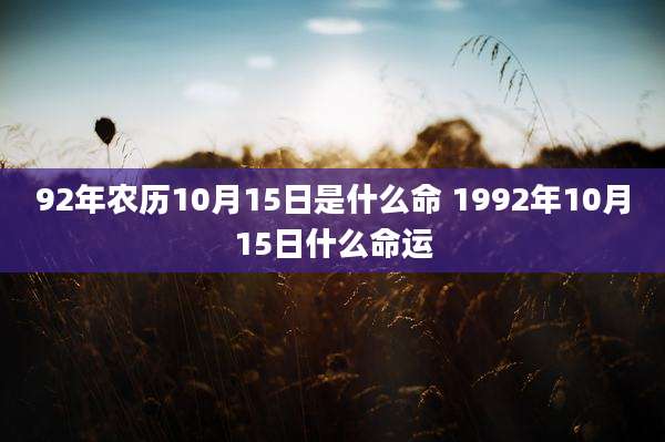92年农历10月15日是什么命 1992年10月15日什么命运