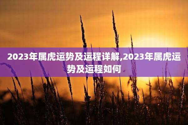 2023年属虎运势及运程详解,2023年属虎运势及运程如何