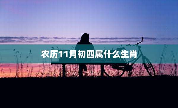农历11月初四属什么生肖