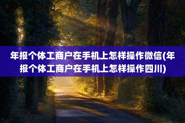 年报个体工商户在手机上怎样操作微信(年报个体工商户在手机上怎样操作四川)