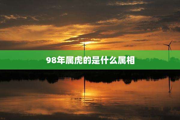 98年属虎的是什么属相