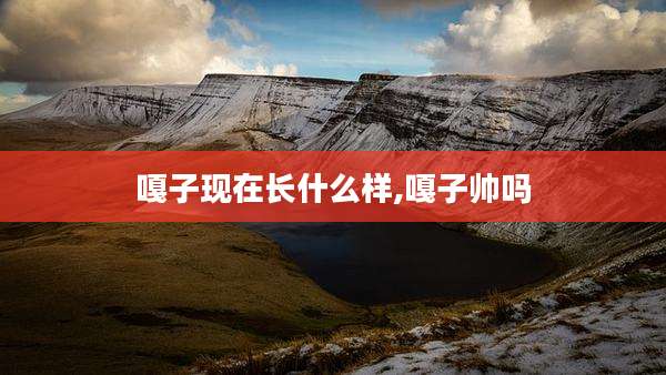 嘎子现在长什么样,嘎子帅吗