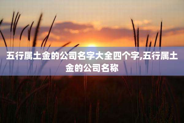 五行属土金的公司名字大全四个字,五行属土金的公司名称