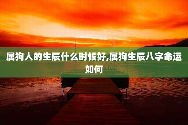 属狗人的生辰什么时候好,属狗生辰八字命运如何