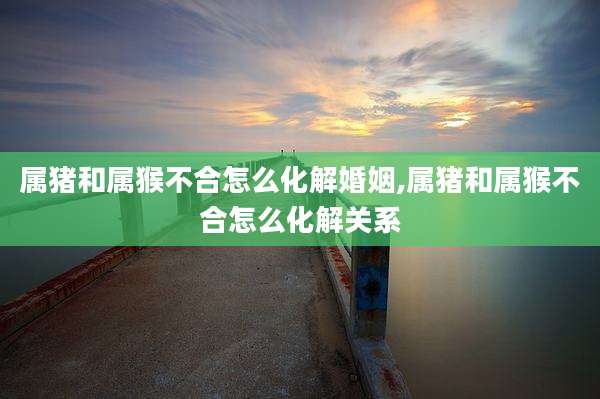 属猪和属猴不合怎么化解婚姻,属猪和属猴不合怎么化解关系