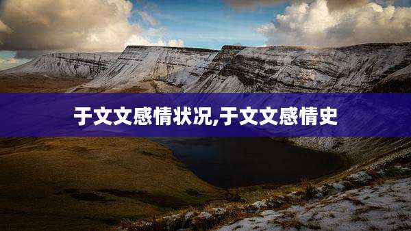 于文文感情状况,于文文感情史