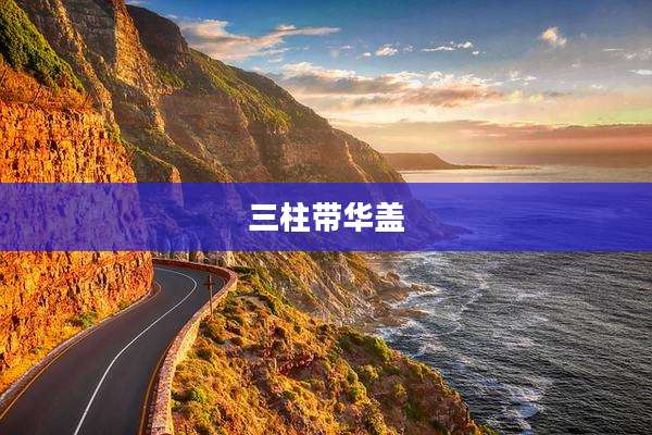 三柱带华盖
