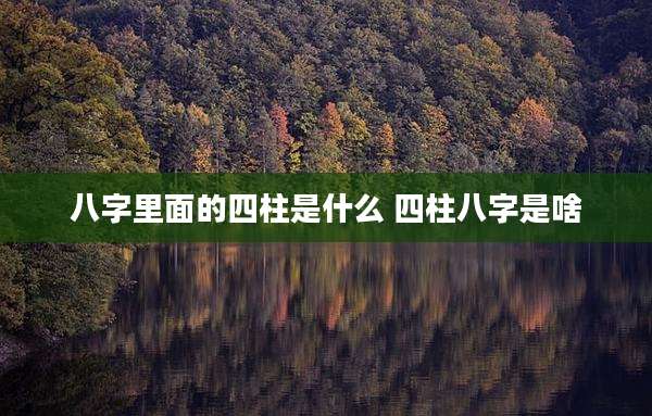 八字里面的四柱是什么 四柱八字是啥