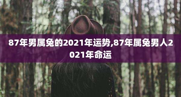 87年男属兔的2021年运势,87年属兔男人2021年命运