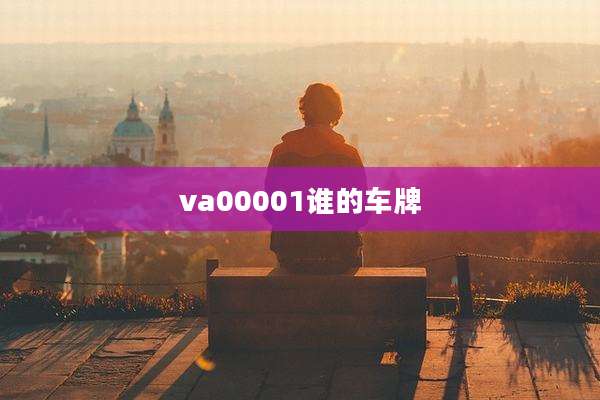 va00001谁的车牌