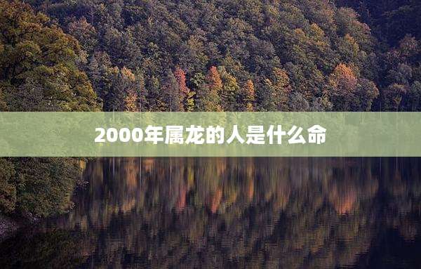 2000年属龙的人是什么命
