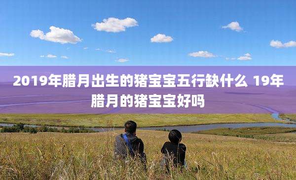 2019年腊月出生的猪宝宝五行缺什么 19年腊月的猪宝宝好吗