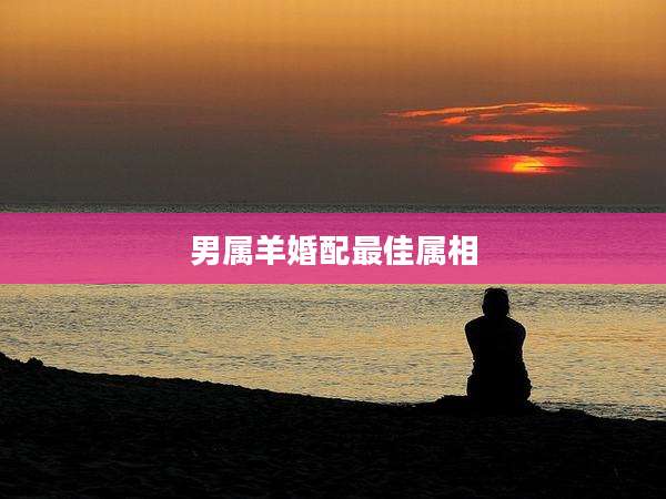 男属羊婚配最佳属相