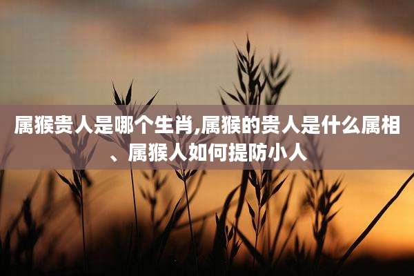 属猴贵人是哪个生肖,属猴的贵人是什么属相、属猴人如何提防小人