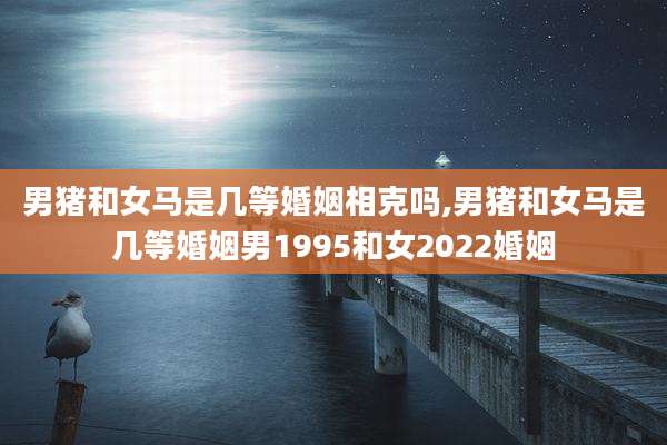 男猪和女马是几等婚姻相克吗,男猪和女马是几等婚姻男1995和女2022婚姻