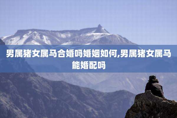 男属猪女属马合婚吗婚姻如何,男属猪女属马能婚配吗