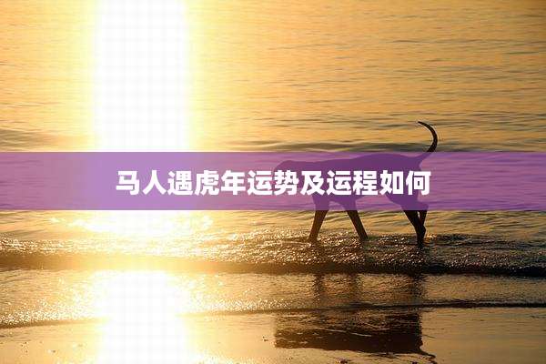 马人遇虎年运势及运程如何